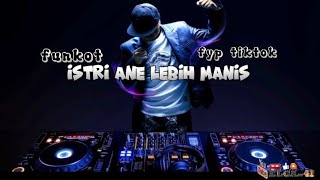 DJ REMIX ISTRI ANE LEBIH MANIS| HABIB JINDAN