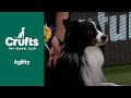 Agility - Crufts Singles Heat (Agility) Part 2 | ​Crufts 2022