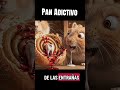 El pan Adictivo #hamster #hamsterb #humor #comedy #pets #terrordebolsillo #polar #funny #horror #pan