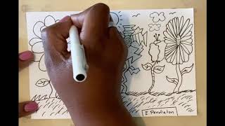 Kindergarten/1st Grade Distance Learning Vid, Week 4, Part 2: Freeform Flower Garden