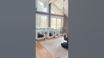 THE BEST DOG CRATES EVER! Use code TSTARCHDOG for 15% off Impact Dog Crates 🐶🤍🐾