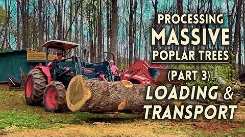 Moving Big Logs Without Big Equipment ┃ How Do You Load BIG Logs Without a Loader [Part 3] #sawmill