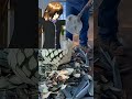 #fypシ #ml #tiktok #sakuraschoolsimulator #naruto #gojo #live #leviackerman