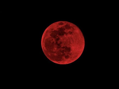 Bloody Moon - The moon became as blood 08 October 2014 (Timelapse video)