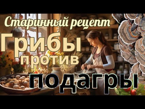 Грибы. Старинный рецепт