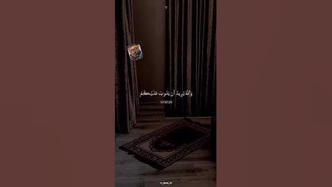 سوره النساء من الايه رقم ٢٧: ٢٨ 🤍