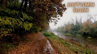 Autumn Rain - Relaxing Nature Sounds - Rain on Leaves - 3 Hours screenshot 5