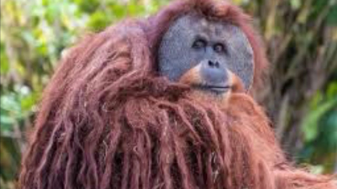 Funny poop - YouTube