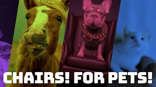 Build a multi-language website