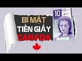 Tiền giấy Canada: Những bí mật siêu đỉnh!