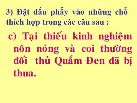 Lớp 3-N24T4- LT&C Lễ hội Dấu phẩy