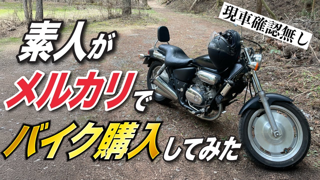 マグナ250、値下げしました マグナ250】素人がメルカリでバイクを購入した結果・・・【紹介