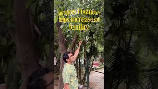 🌳Season of Nitrogen Rich Flowers 😍 #honge #pongamia #ytshortsindia #flowers #treesofinstagram