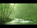 Japan Mountain Stream 1 Hour Series ① - Relaxing Background Music, Poetry of Water