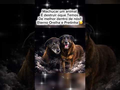 Pra Sempre Orelha e Pretinha!😔