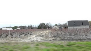 Mockingbird by Helium Road - Moog Mother 32