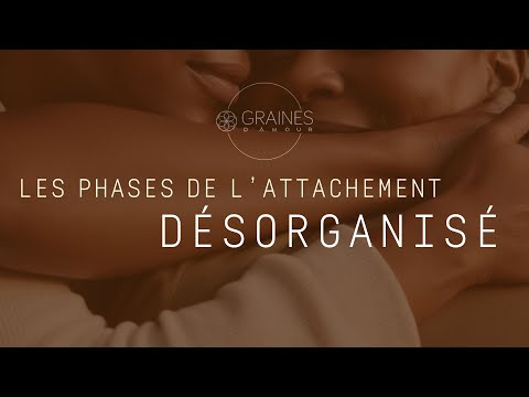 Les phases de