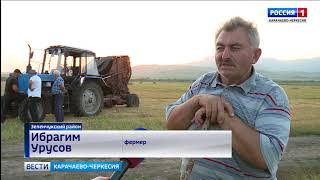 Видео Неустанный труд - залог успеха любого дела (автор: ГТРК Карачаево-Черкесия)