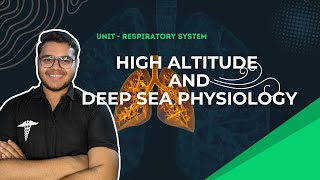Respiratory System MBBS First year |High altitude and deep sea Physiology| mbbs human physiology