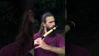 Download Mp3 Bass-D bansuri demo Gudang lagu Download Mp3 Bass-D bansuri demo