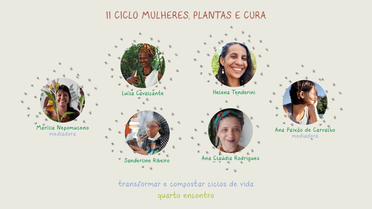 O ciclo de vida de uma planta com flores (Teacher-Made)