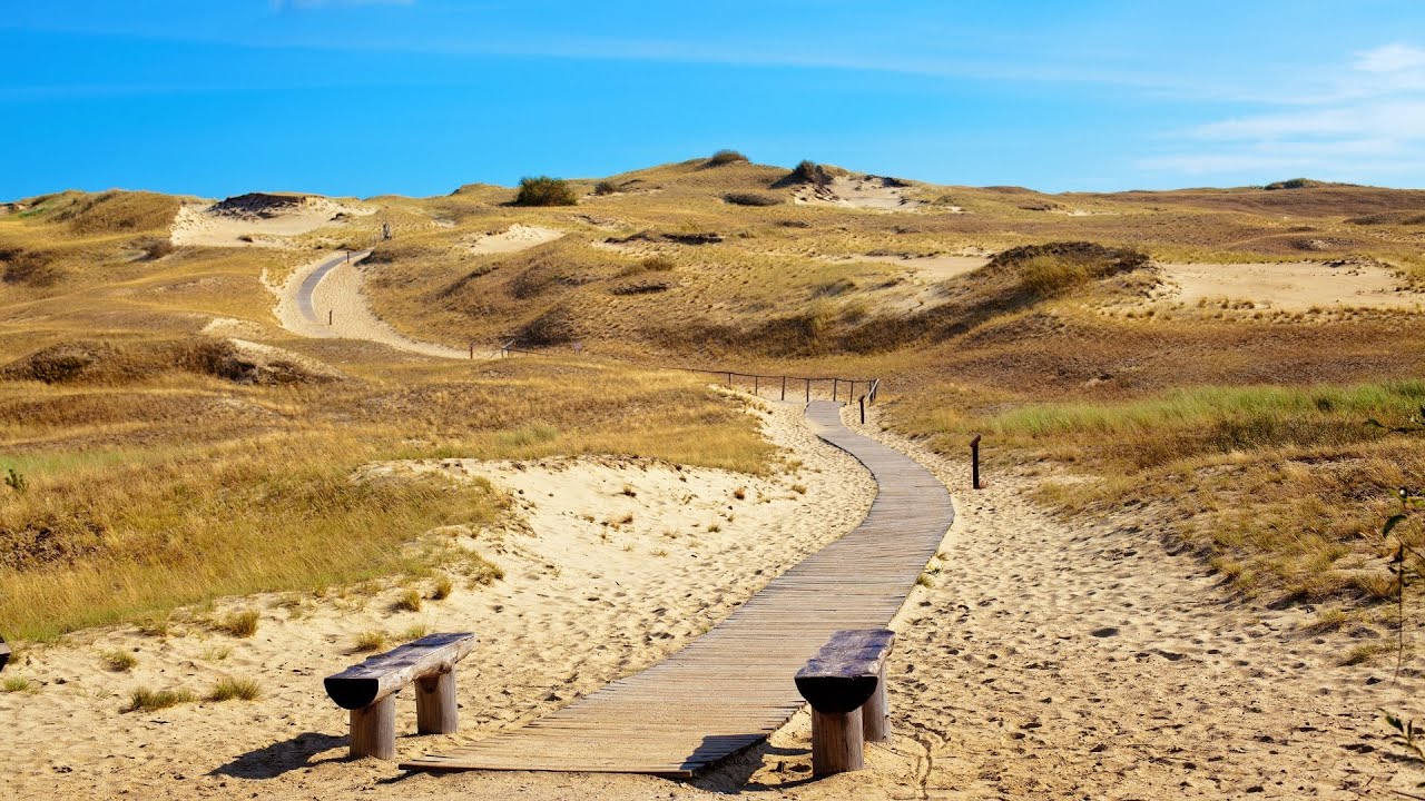 Smėlėtos Kuršių nerijos istorija II dalis