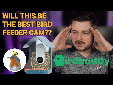Bird Buddy Smart