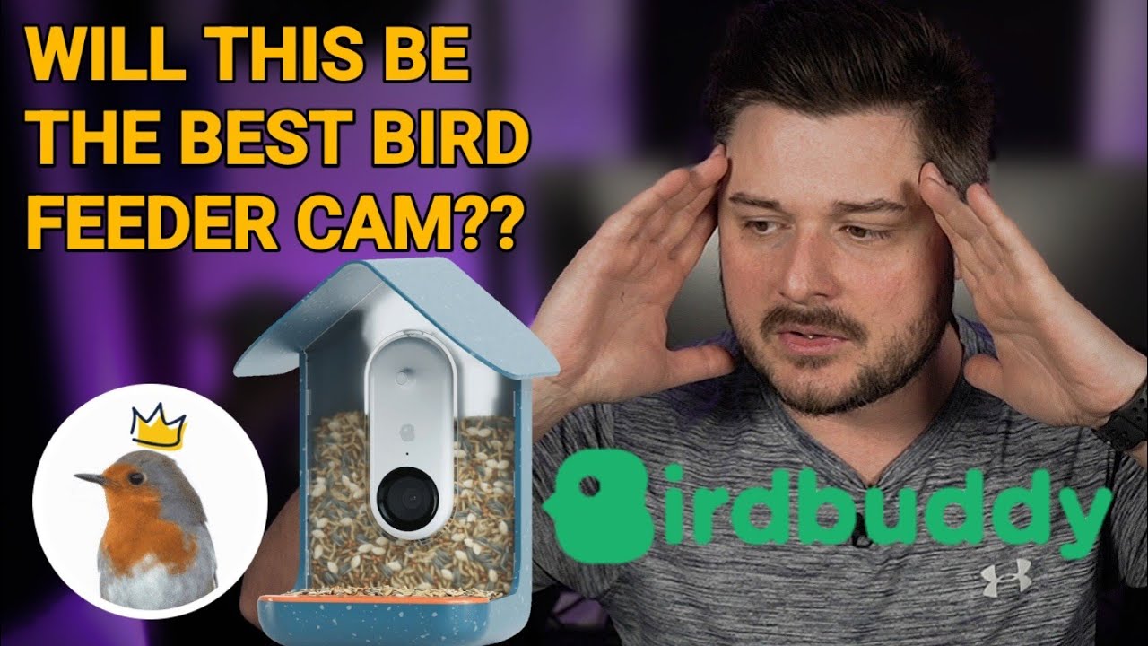Bird Buddy Smart Bird Feeder from Kickstarter & Indiegogo 🤔 This one