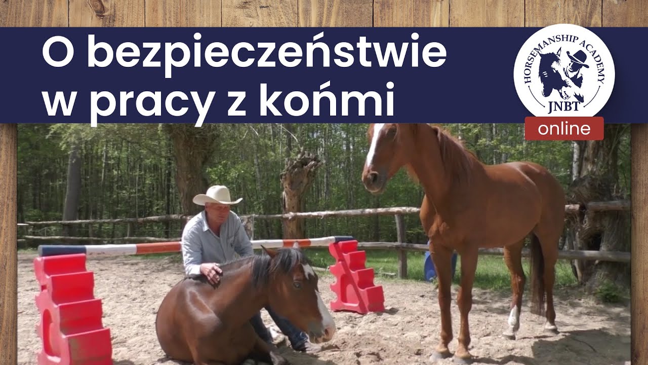 JNBT o bezpieczeństwie w pracy z końmi