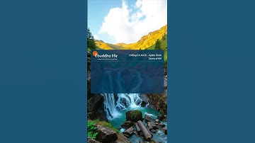 Chẳng Có Ai Cả #159 - Ajahn Chah #ajahnchah #daophat #phatphap  #baihoccuocsong #chanhphap