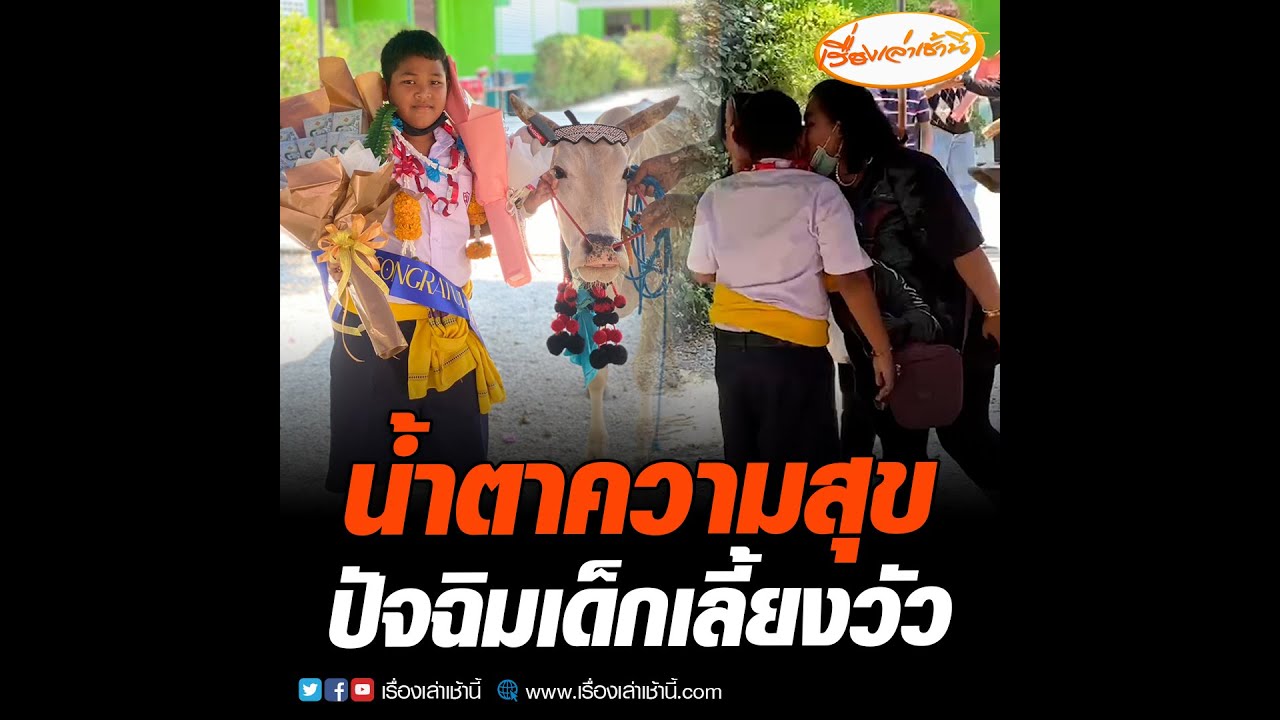 น้ำตาความสุข ปัจฉิมเด็กเลี้ยงวัว