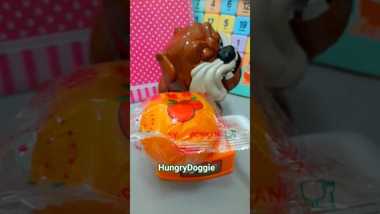 🌈ASMR-TRENDING🐕 OMG! MAD DOG WANT TO EAT HUGE PONKAN 🍊 