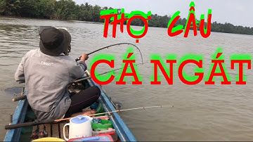 Câu Cá Ngát Sông - Canh Nước Cá Ăn Đi Câu Đúng Ngày - Cá Ăn Liên Tục | Săn Bắt Ba Vát | #79