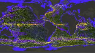 Historical Global Ocean Flow Data Visualized