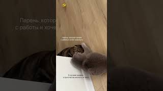 Насколько жизненно от 1 до 1000000?