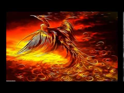 Rise Of The Phoenix Rise Of The Phoenix