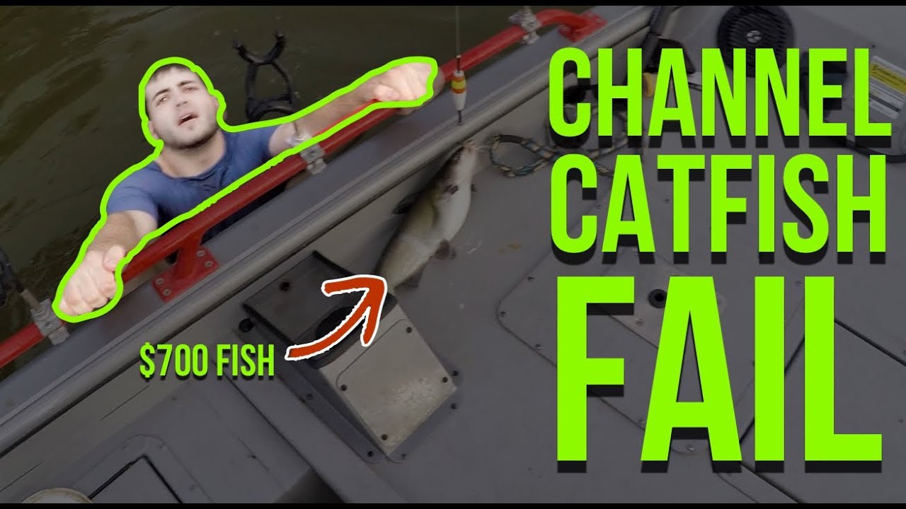 Huge Channel Catfish Fail (This Fish Cost Me $750) - YouTube