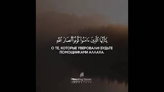Коран Сура 61 «Ряды», аят 14. Чтец: Ахмад Х'адр