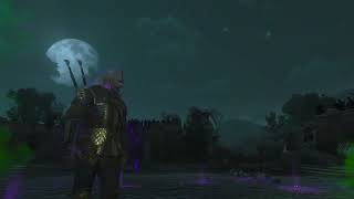 картинка: The Witcher 3 Wild Hunt  Особые экземпляры монстров Тусента.