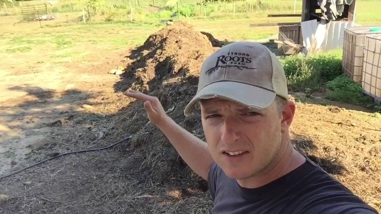 Summer 2016 Update at Strong Roots Farm YouTube