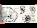 Read This Article To Learn How To Survive Tinnitus