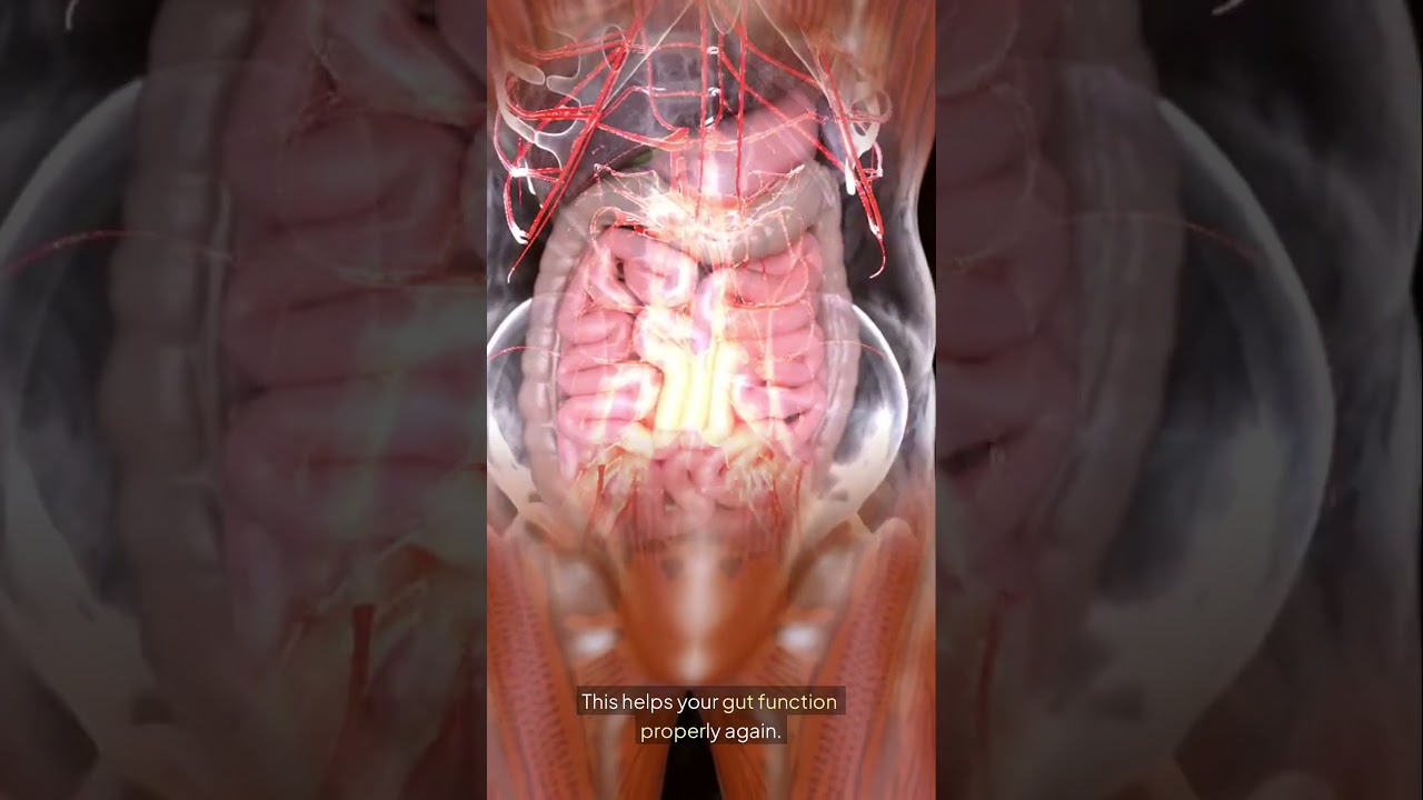 Your Gut Is Fermenting Food — Here’s How to Stop It #primebiome #facts #loveyourgut #facelessshorts