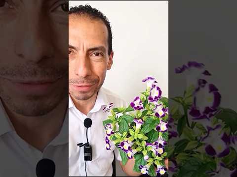 3 cualidades de