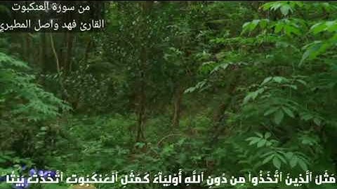 من سورة العنكبوت - القارئ فهد واصل المطيري