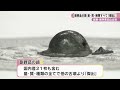 桜井茶臼山古墳 副葬品の鏡 量・質・種類すべて「傑出」