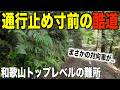 【深刻な酷道化】発狂の国道４２４号かつての難所区間がさらに荒れ果てていた...