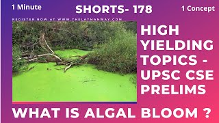 What Is Algal Bloom ? Explained For Upsc Prelims