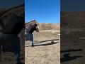 Springfield Armory Hellcat OSP 3inch