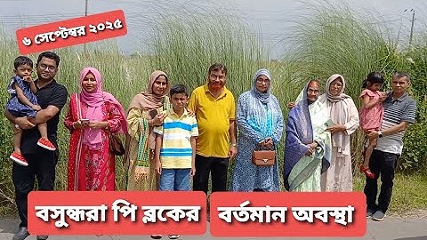 বসুন্ধরা আবাসিক এলাকার পি ব্লকের বর্তমান অবস্থা । Current Status of P Block of Bashundhara  |