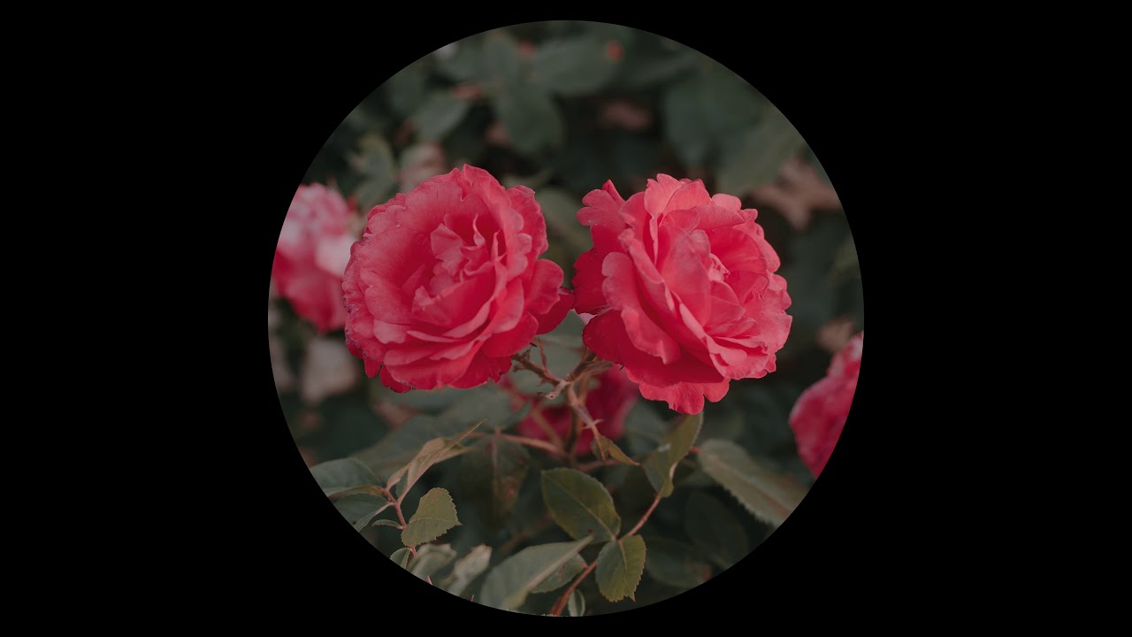 Earth Trax - Flux [SNFLP006]